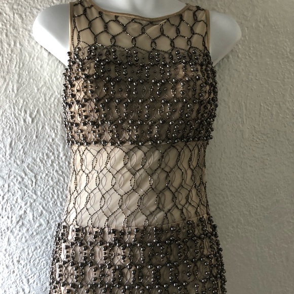 Beaded Taupe Dress - Picture 4 of 4